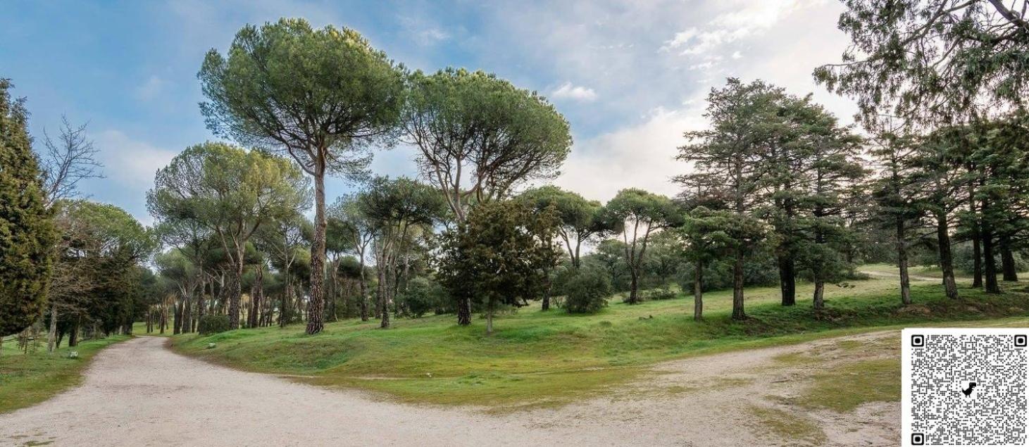 Apartamento Las Rozas Centro Con Parking Incluido المظهر الخارجي الصورة